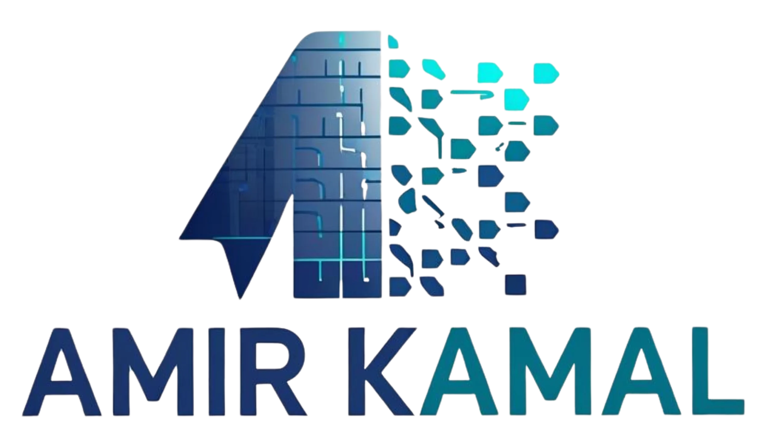Amir Kamal